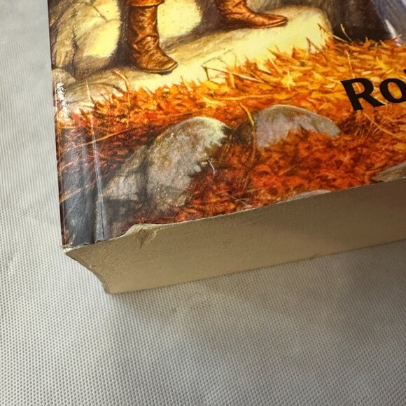 Ajan Pyörän Volumes 3, 6 & 13 by Robert Jordan /Finnish Language Wheel of Time - Picture 7 of 13